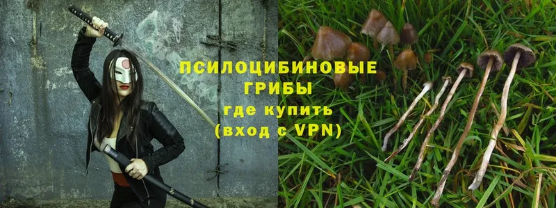 Галлюциногенные грибы Magic Shrooms  мега сайт  darknet клад  Ипатово 